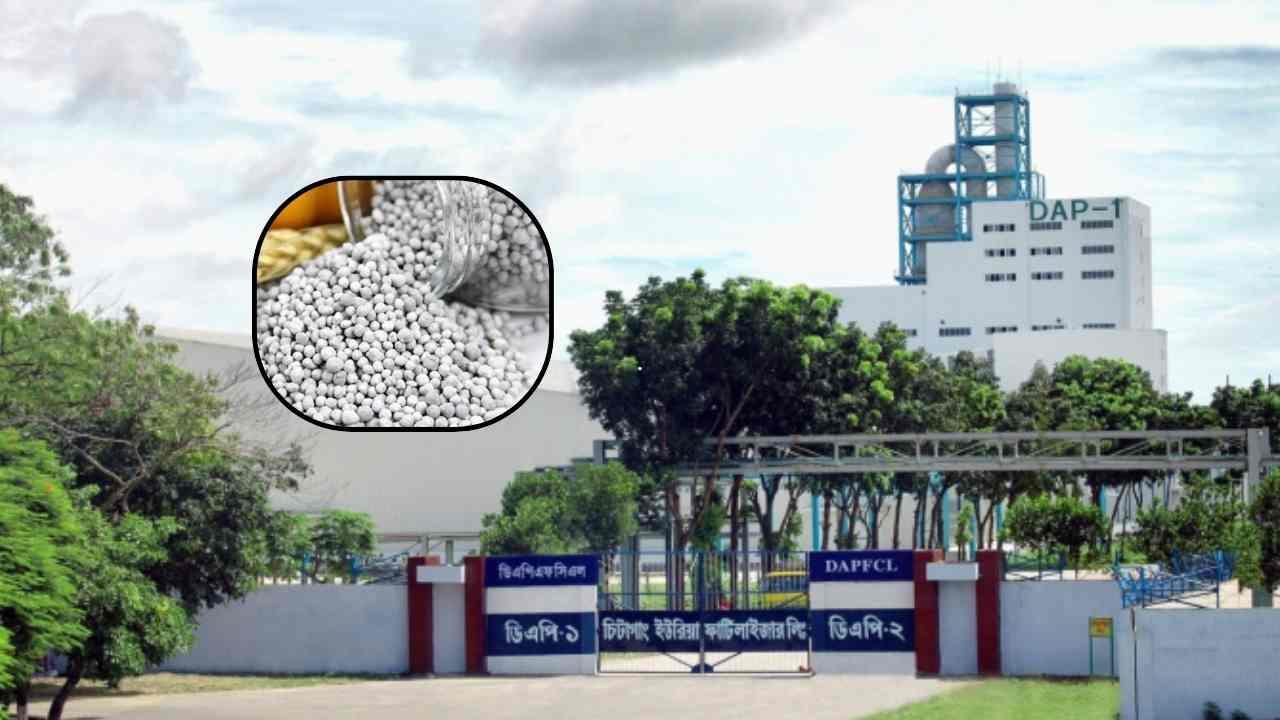 গ্যাস সংকটে বন্ধ হলো দেশের একমাত্র ডিএপি সার কারখানা