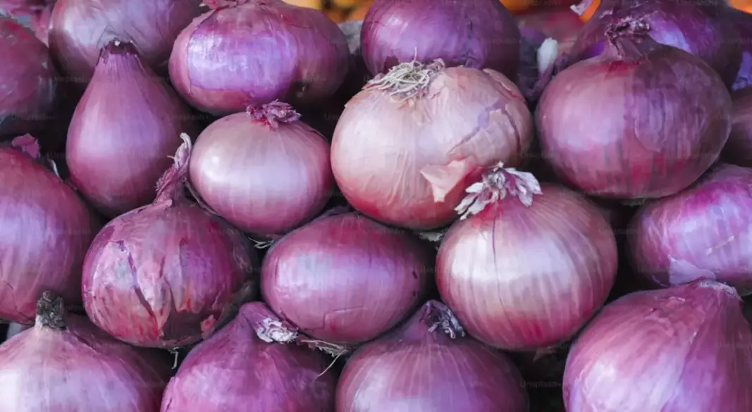 ছবিঃ পেয়াজ